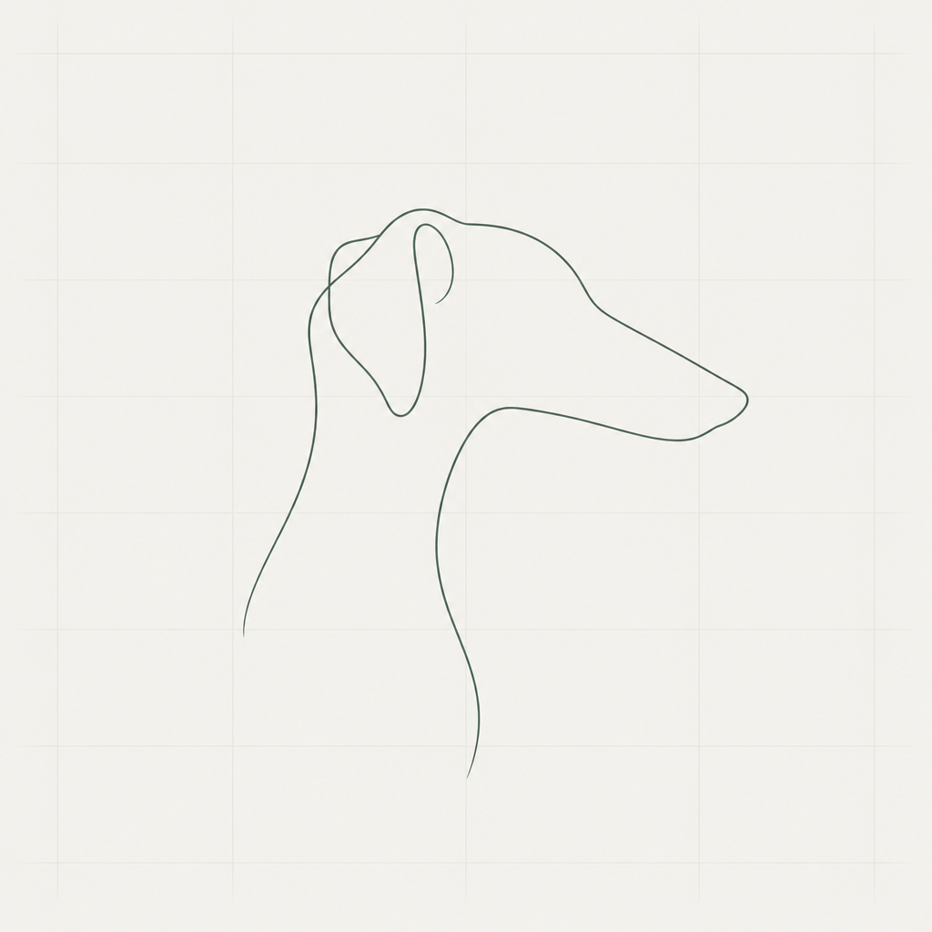Single-line drawing of a sighthound's head and neck